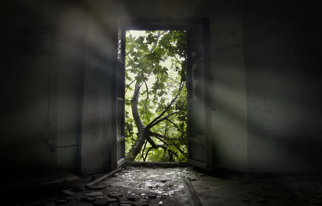 Photo wallpaper nature, room, the door