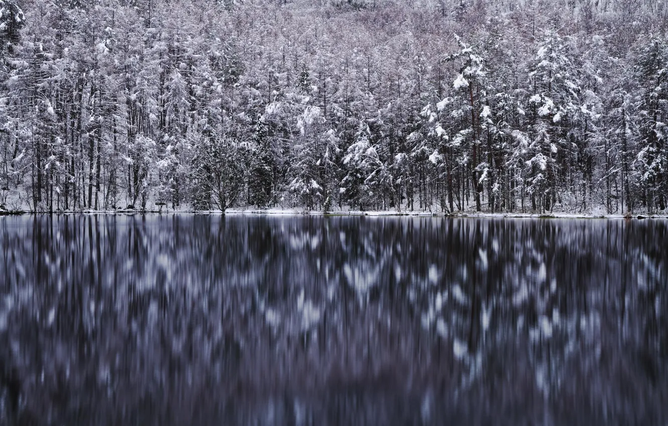 Photo wallpaper winter, forest, trees, lake, reflection