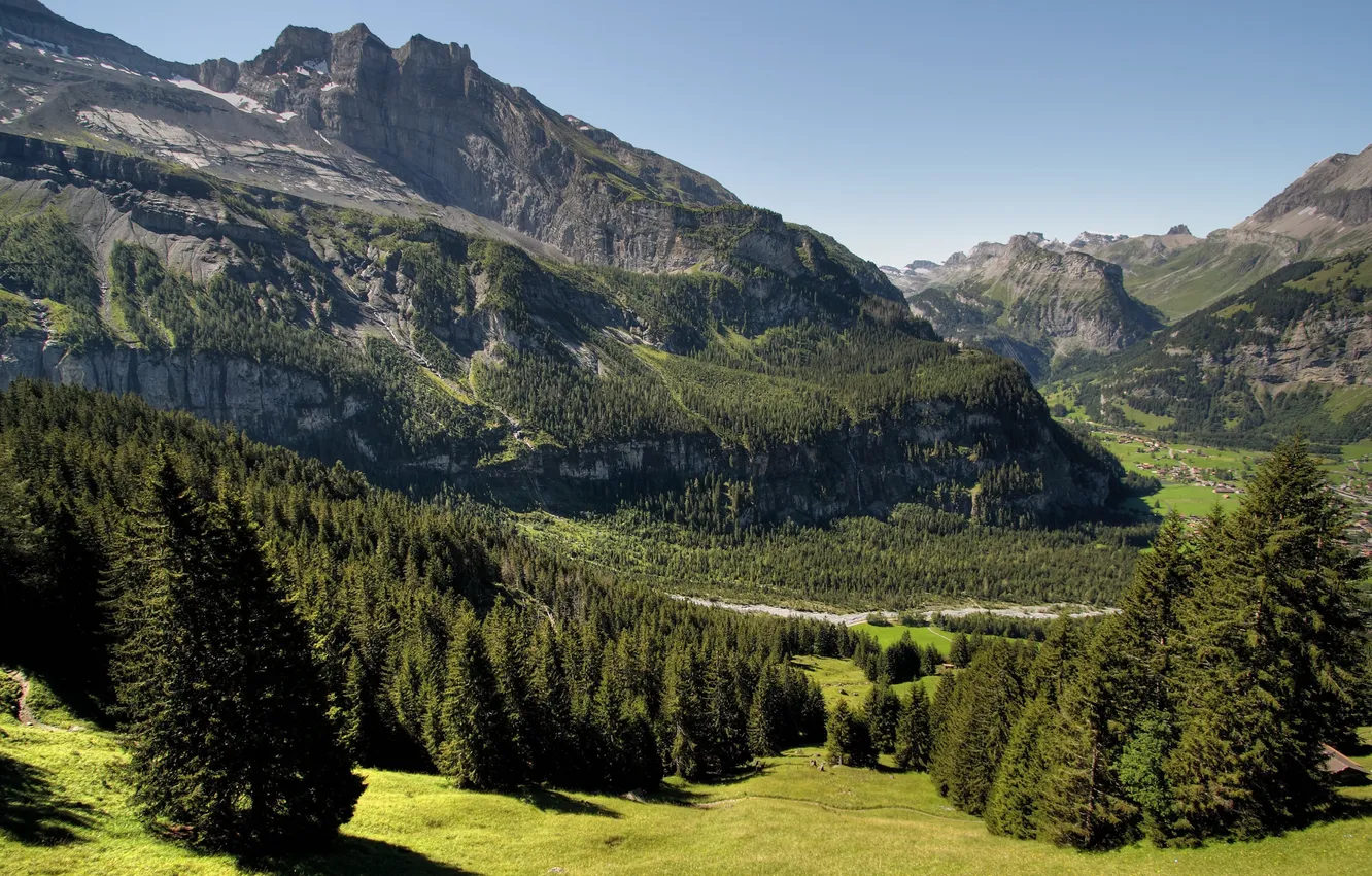 Photo wallpaper summer, grass, trees, mountains, rocks