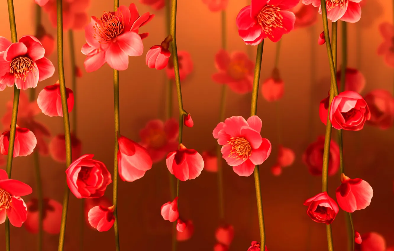 Photo wallpaper flowers, branches, collage, spring, petals, postcard