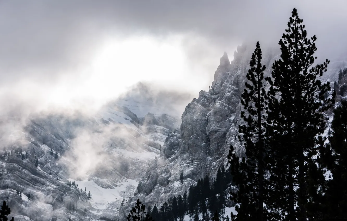 Photo wallpaper winter, clouds, snow, trees, mountains, nature, rocks