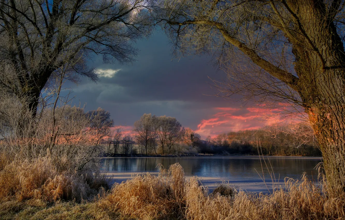 Photo wallpaper frost, autumn, grass, trees, landscape, clouds, nature, pond