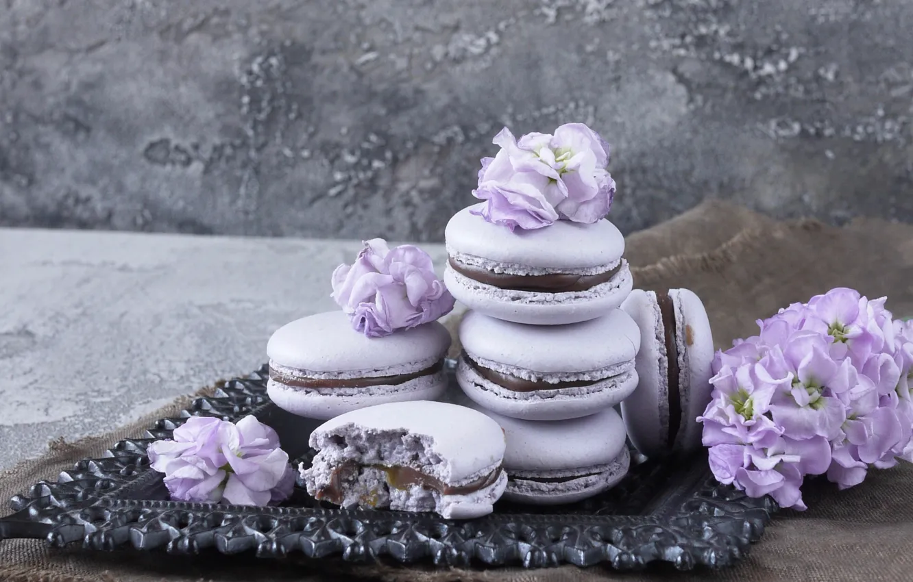 Photo wallpaper flowers, flowers, violet, macaron, macaroon