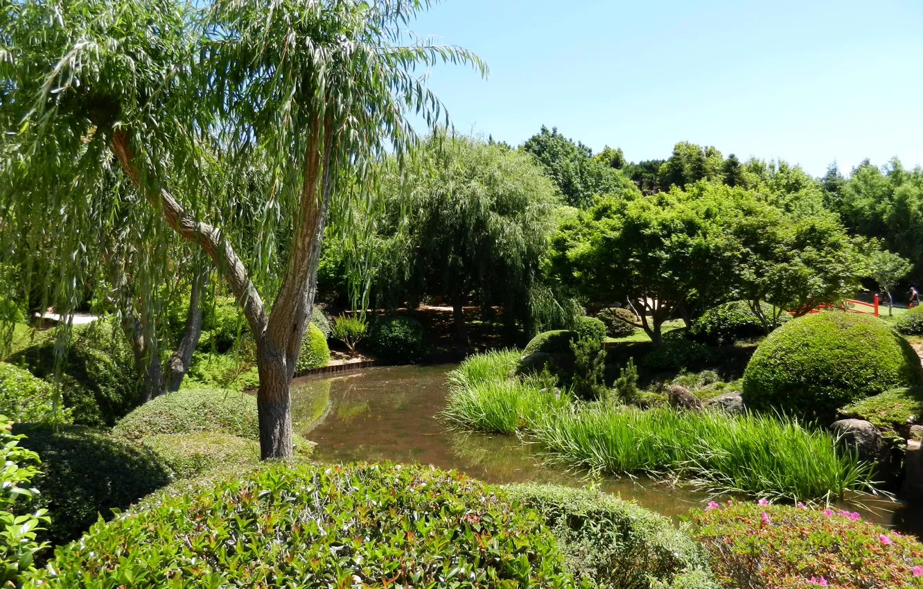 Photo wallpaper grass, trees, pond, garden, Australia, the bushes, Japenese Garden, Toowoomba