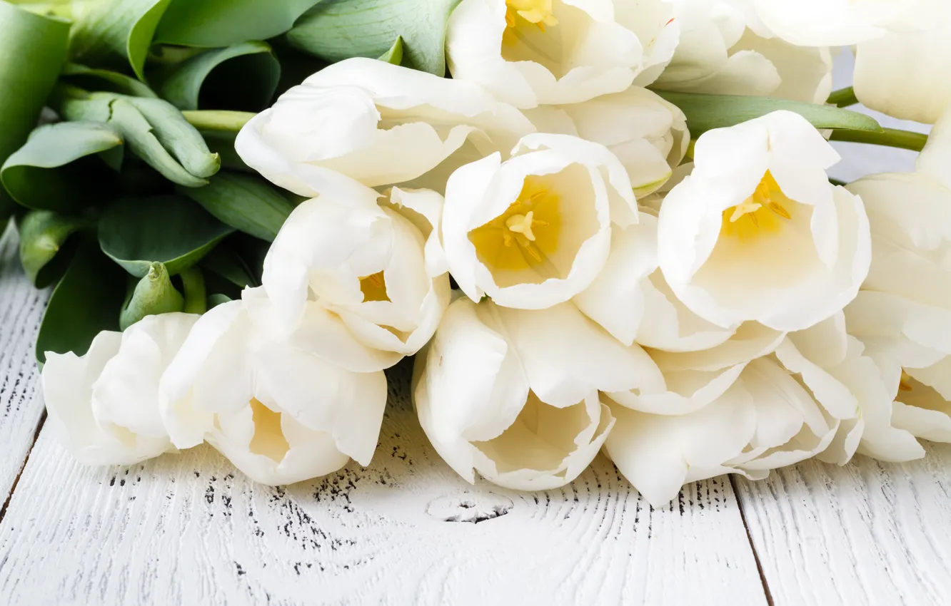 Photo wallpaper bouquet, tulips, white, Olena Rudo