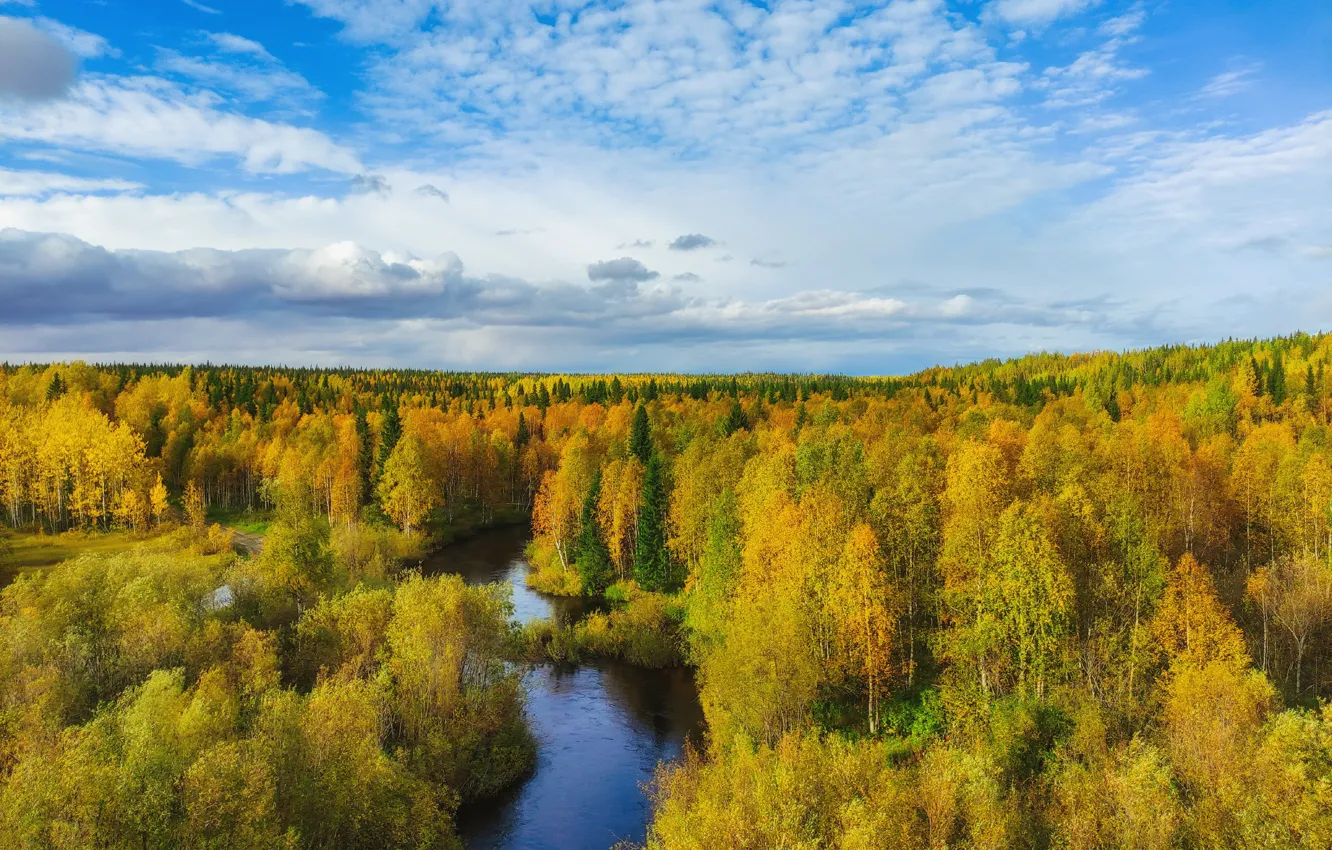 Photo wallpaper forest, the sky, clouds, trees, yellow, river, blue, shore