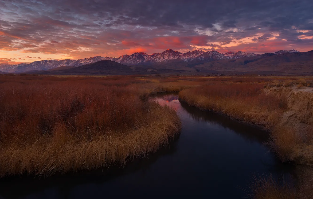 Photo wallpaper USA, grass, sunset, California, mountains, Owens River