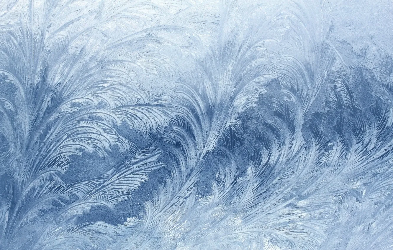 Photo wallpaper ice, winter, patterns, beautiful, texture