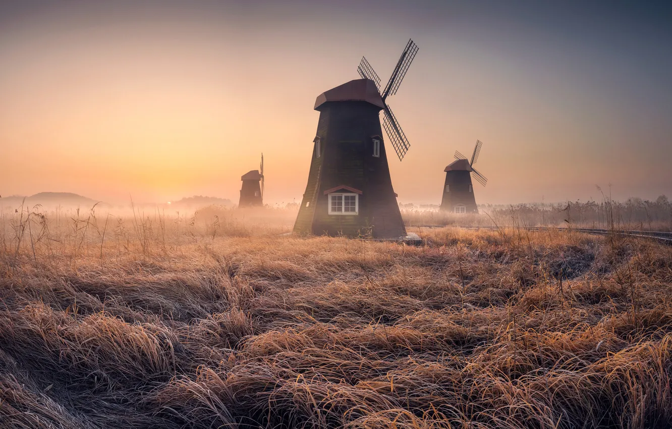 Photo wallpaper field, fog, windmills