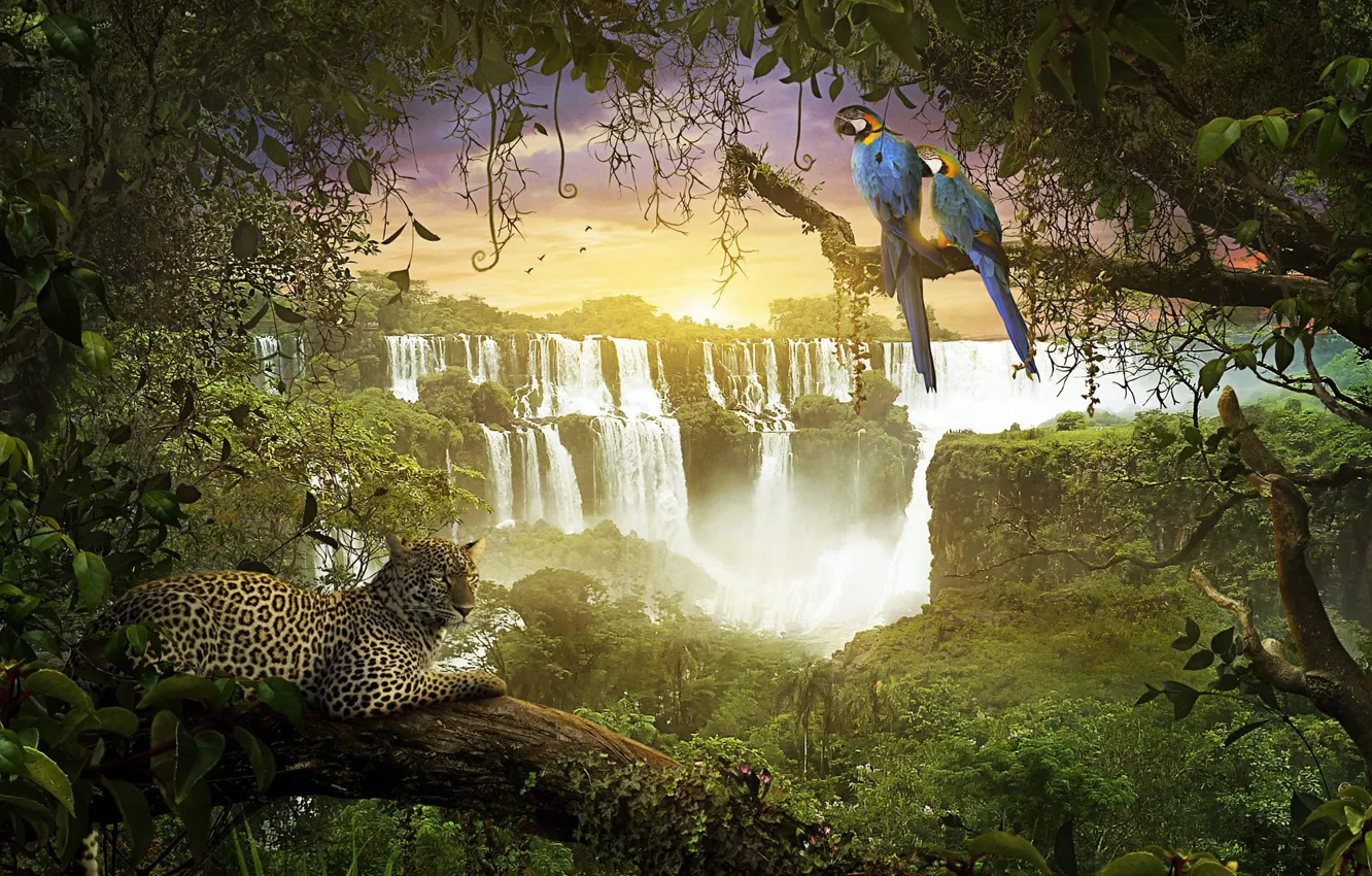 Photo wallpaper waterfall, jungle, monkey, leopard, parrots, amazonia