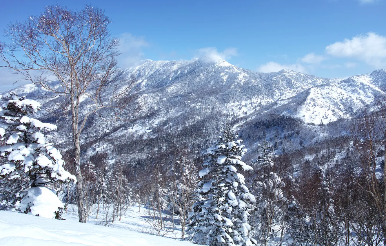 Photo wallpaper winter, the sky, snow, trees, landscape, mountains, slope