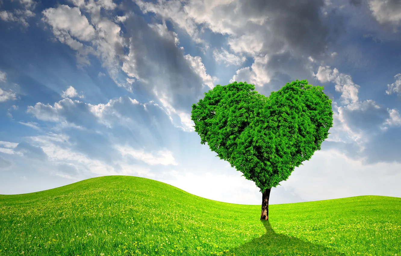 Photo wallpaper field, trees, heart, spring, meadow, love, sunshine, field