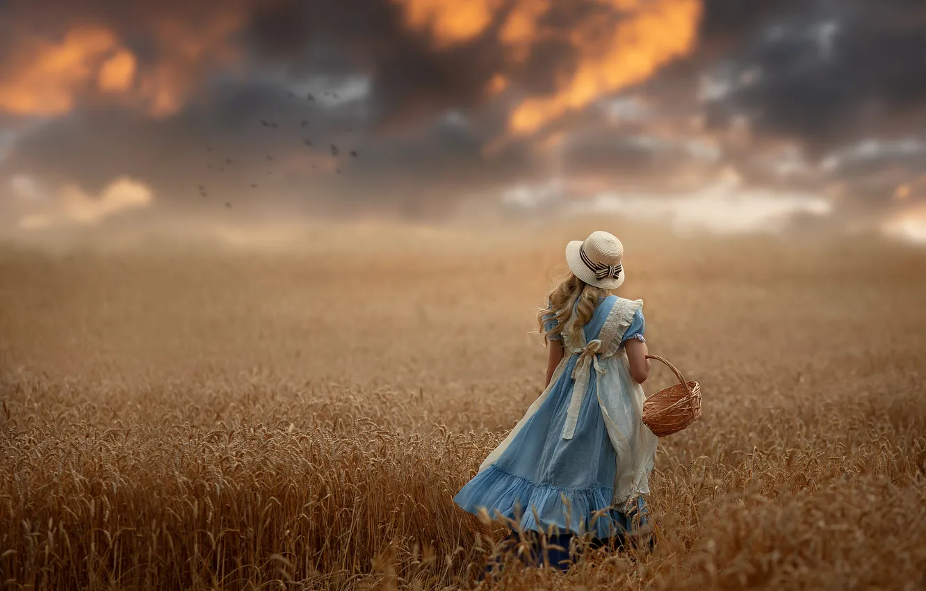 Photo wallpaper field, hat, dress, girl