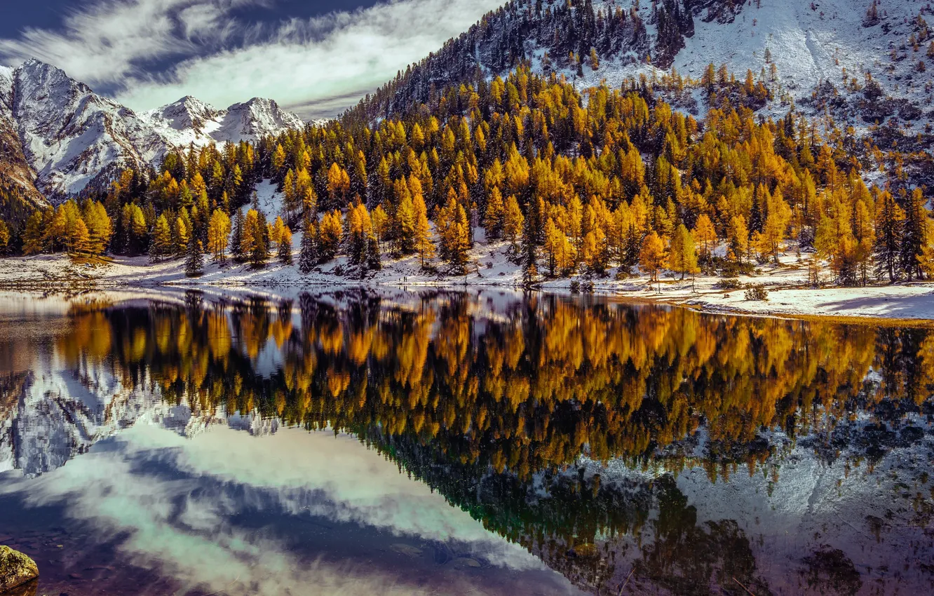 Photo wallpaper trees, mountains, lake, reflection, Austria, Alps, Austria, Alps