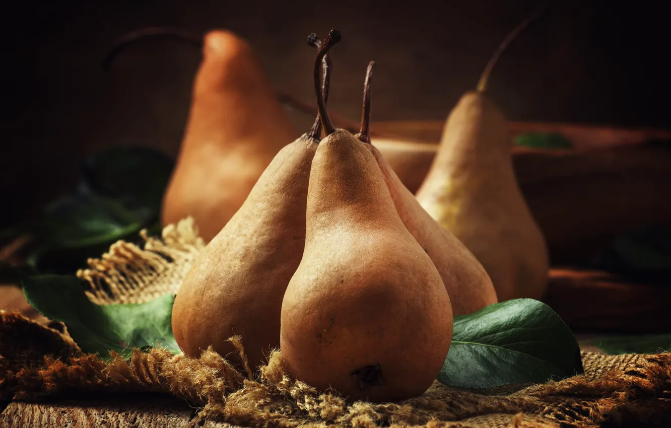 Photo wallpaper yellow, the dark background, fruit, still life, pear, burlap