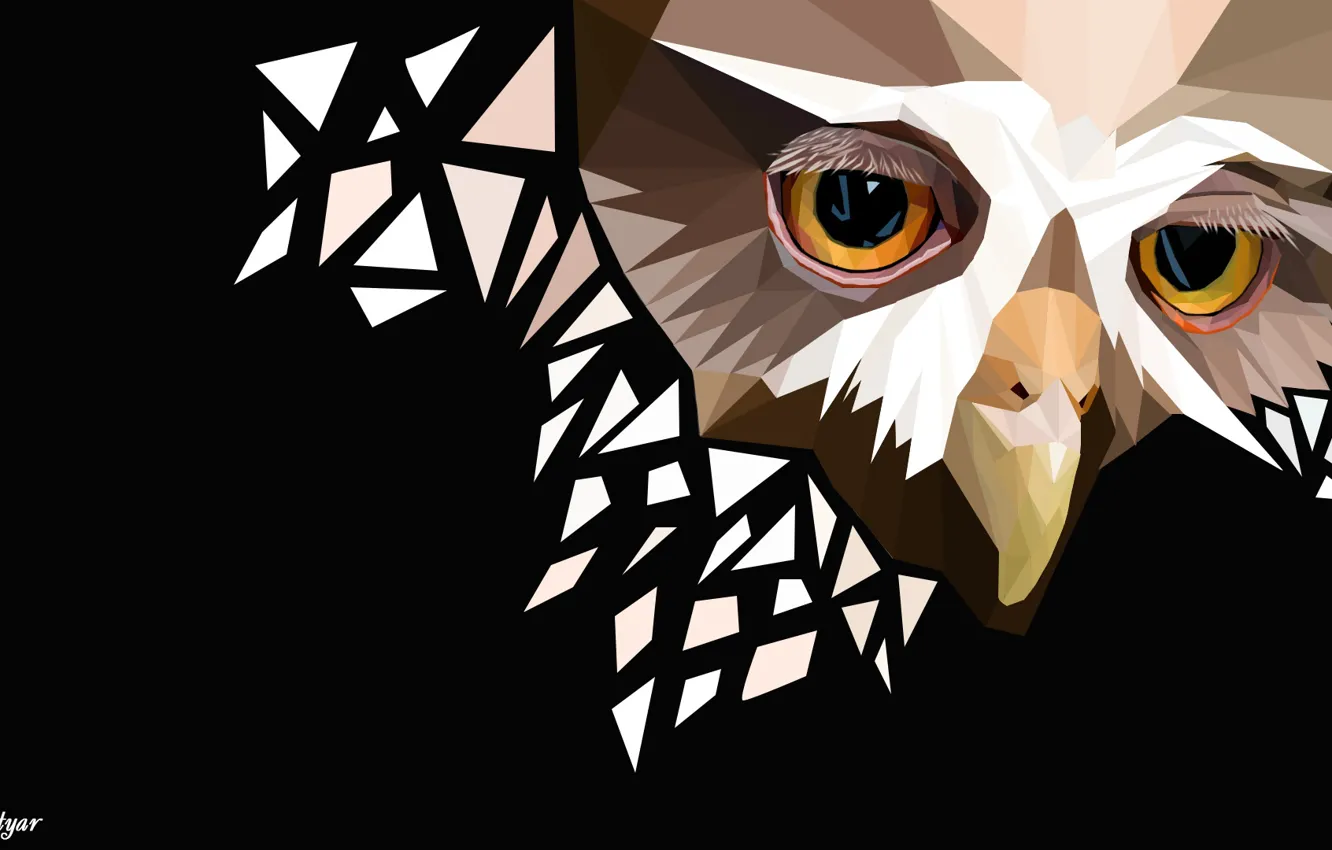 Photo wallpaper owl, sad face, polygon graphics