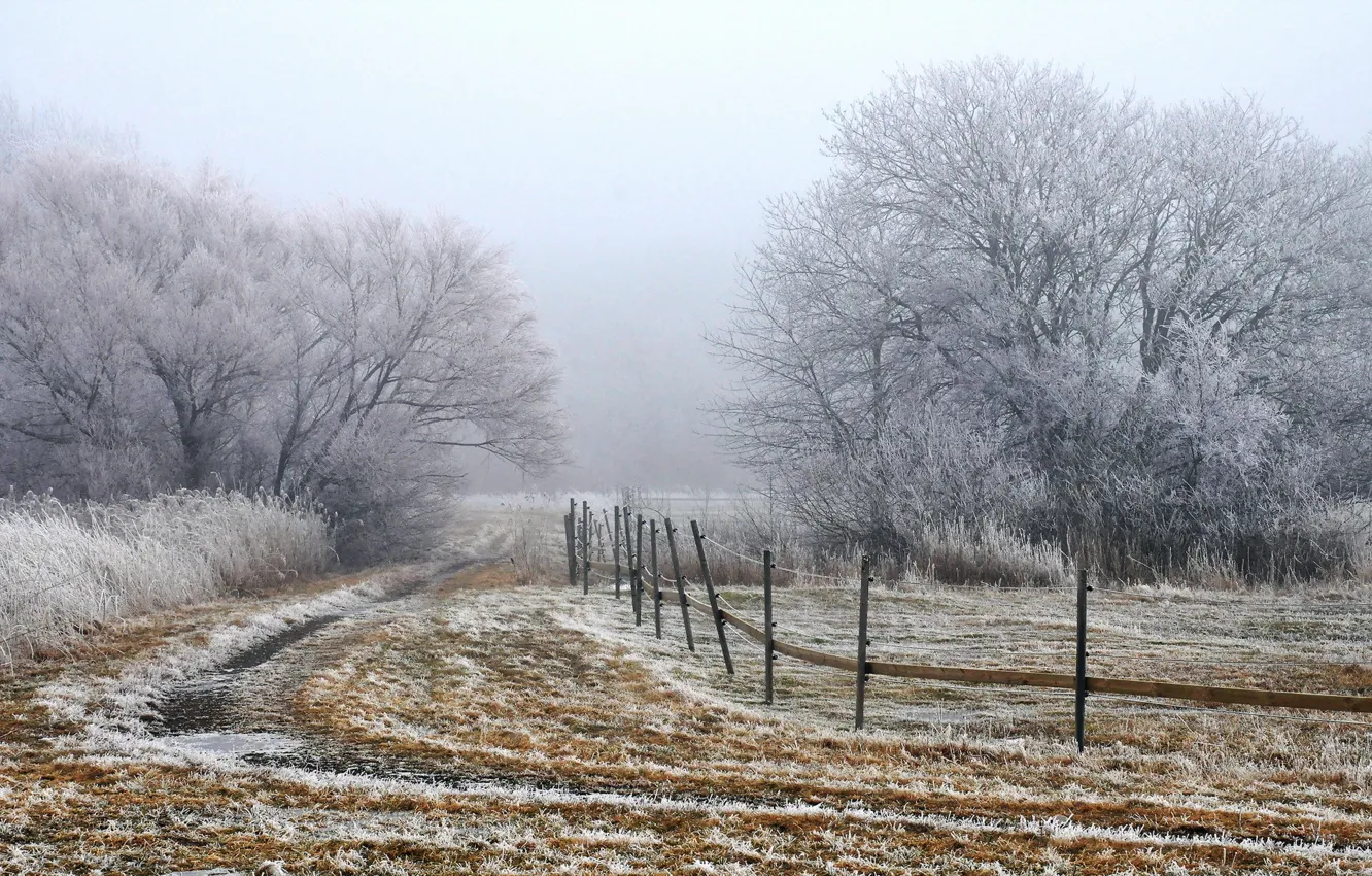 Photo wallpaper field, landscape, fog, the fence, morning