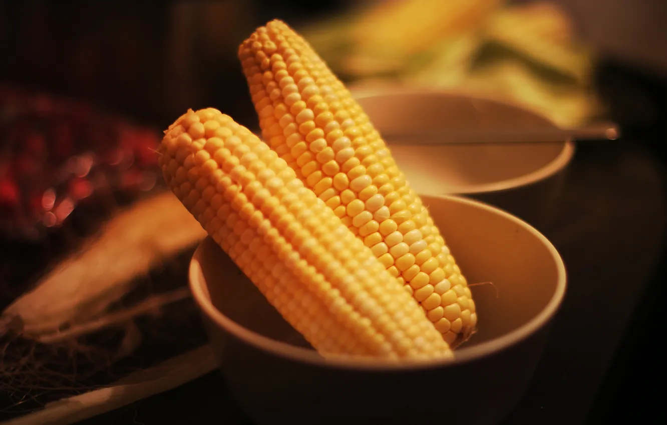Photo wallpaper yellow, corn, vegetables
