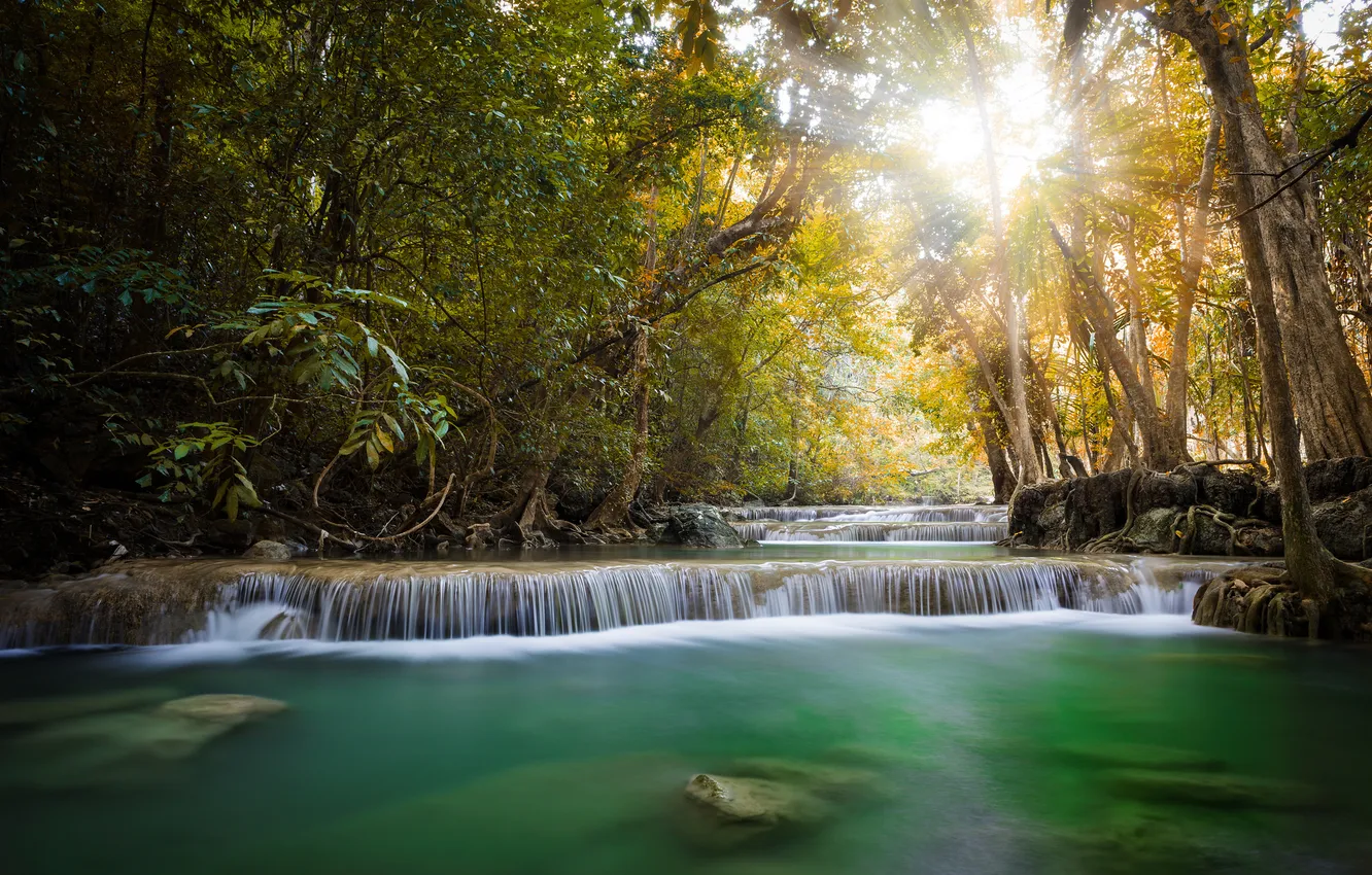 Photo wallpaper trees, landscape, river, waterfall, jungle, the rays of the sun