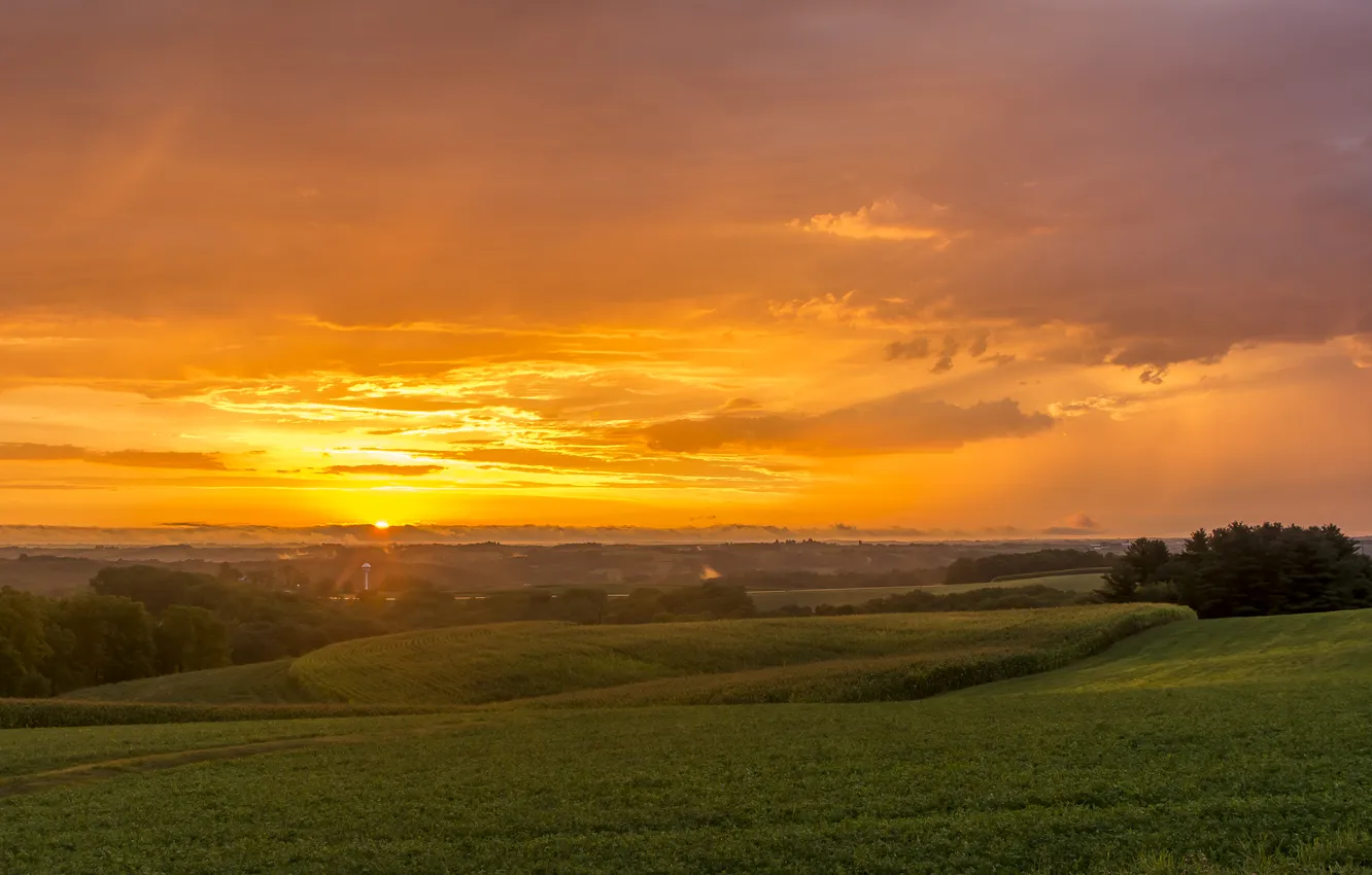 Photo wallpaper field, clouds, sunrise, valley, horizon, orange sky