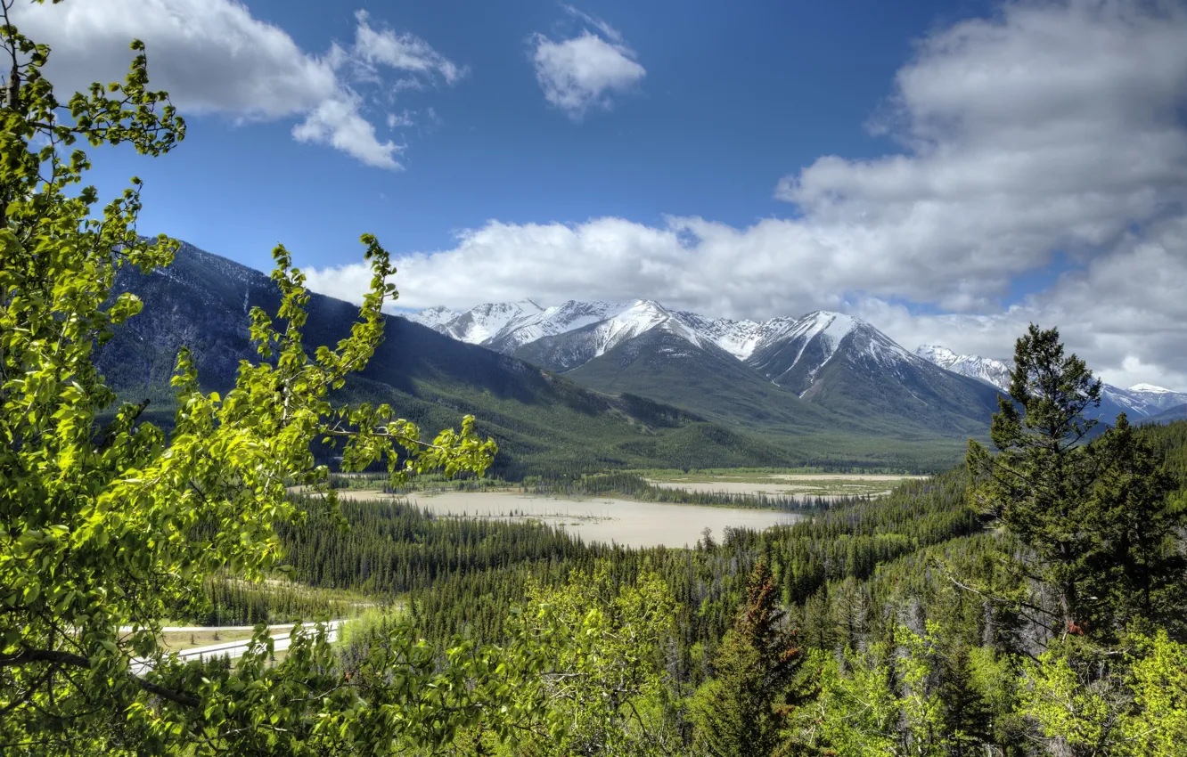 Photo wallpaper forest, Canada, Albert, Banff National Park, Alberta, Canada, Rocky mountains, Banff