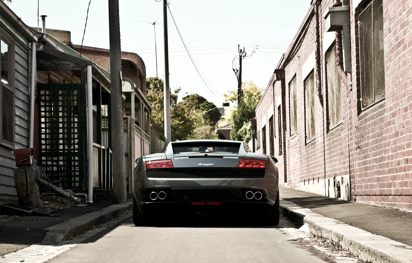 Photo wallpaper trees, grey, posts, lane, gallardo, lamborghini, grey, back