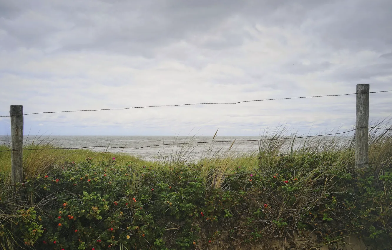 Photo wallpaper sea, shore, the fence