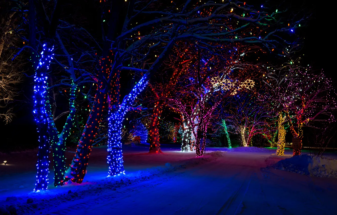 Photo wallpaper winter, snow, night, nature, lights, tree