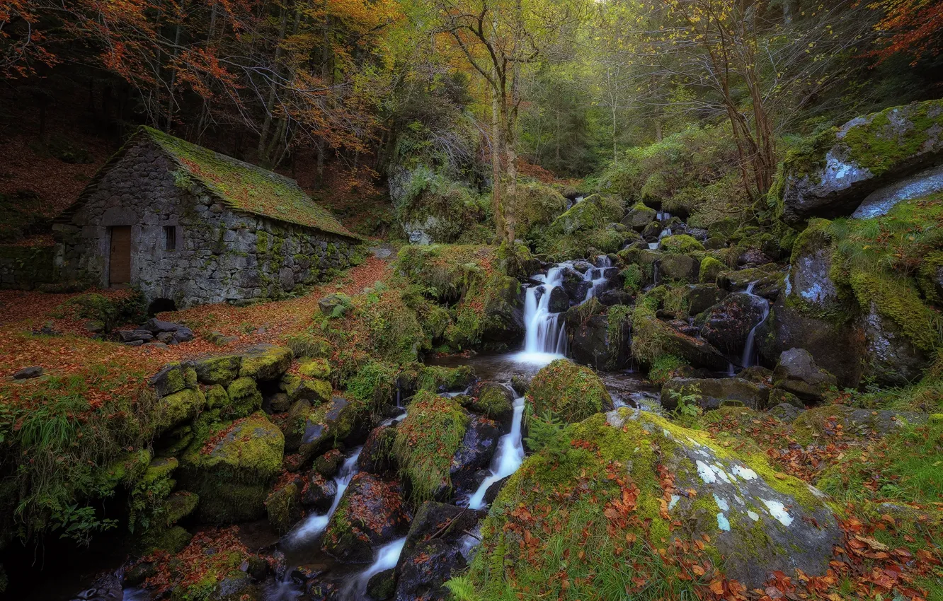 Photo wallpaper autumn, forest, stream, stream, hut