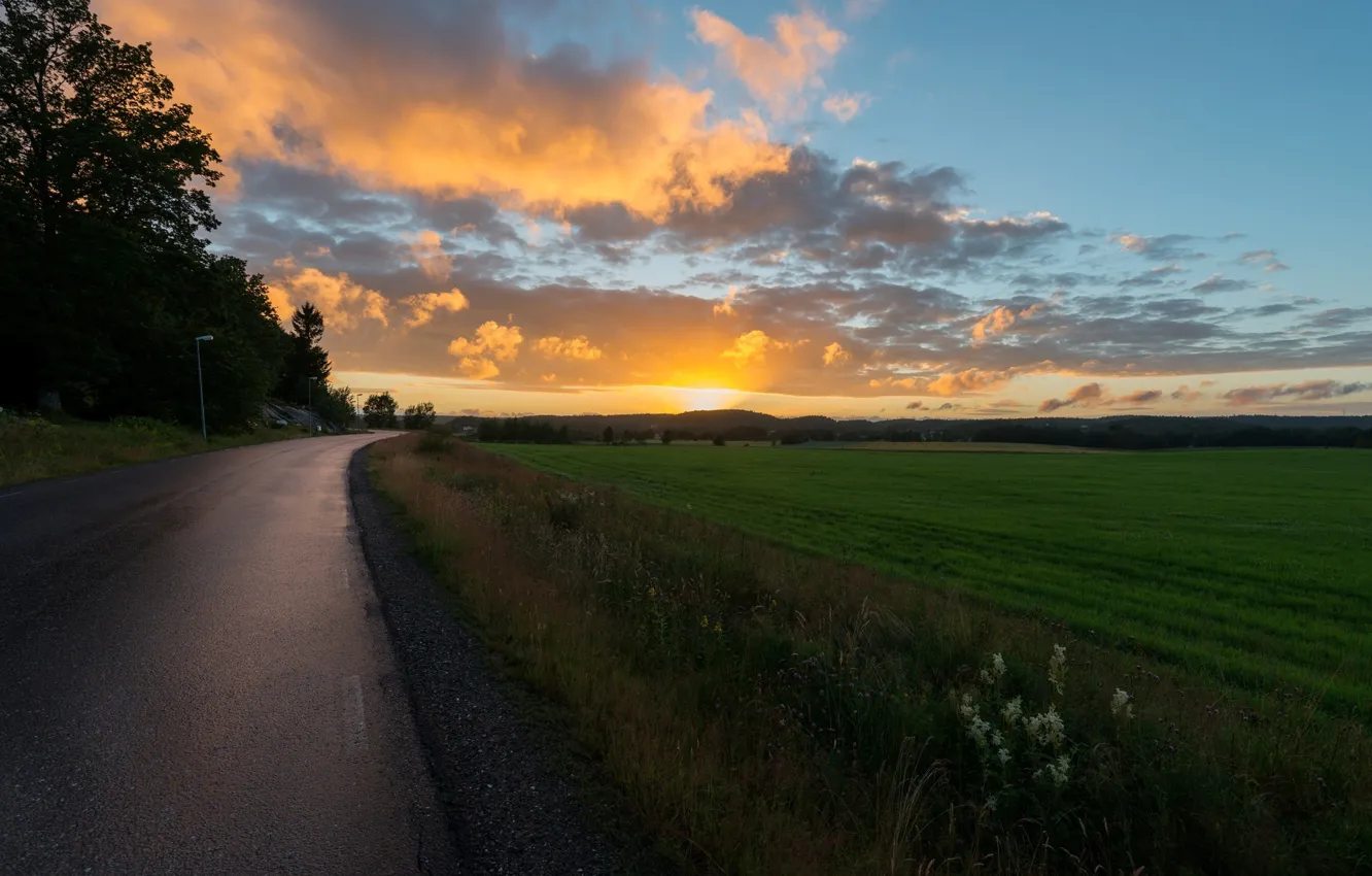 Photo wallpaper road, greens, the sky, grass, the sun, clouds, rays, trees