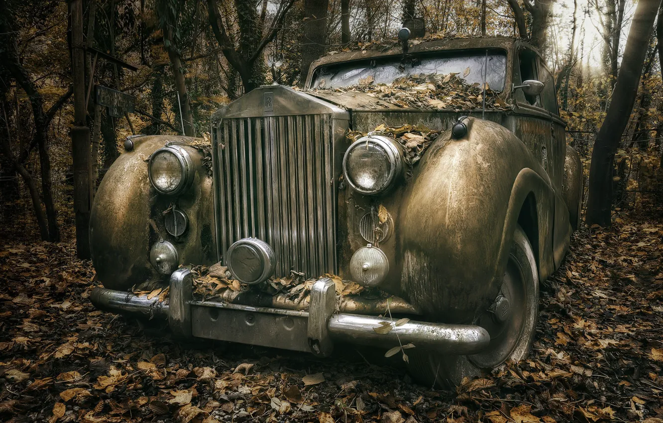Photo wallpaper machine, forest, Rolls Royce