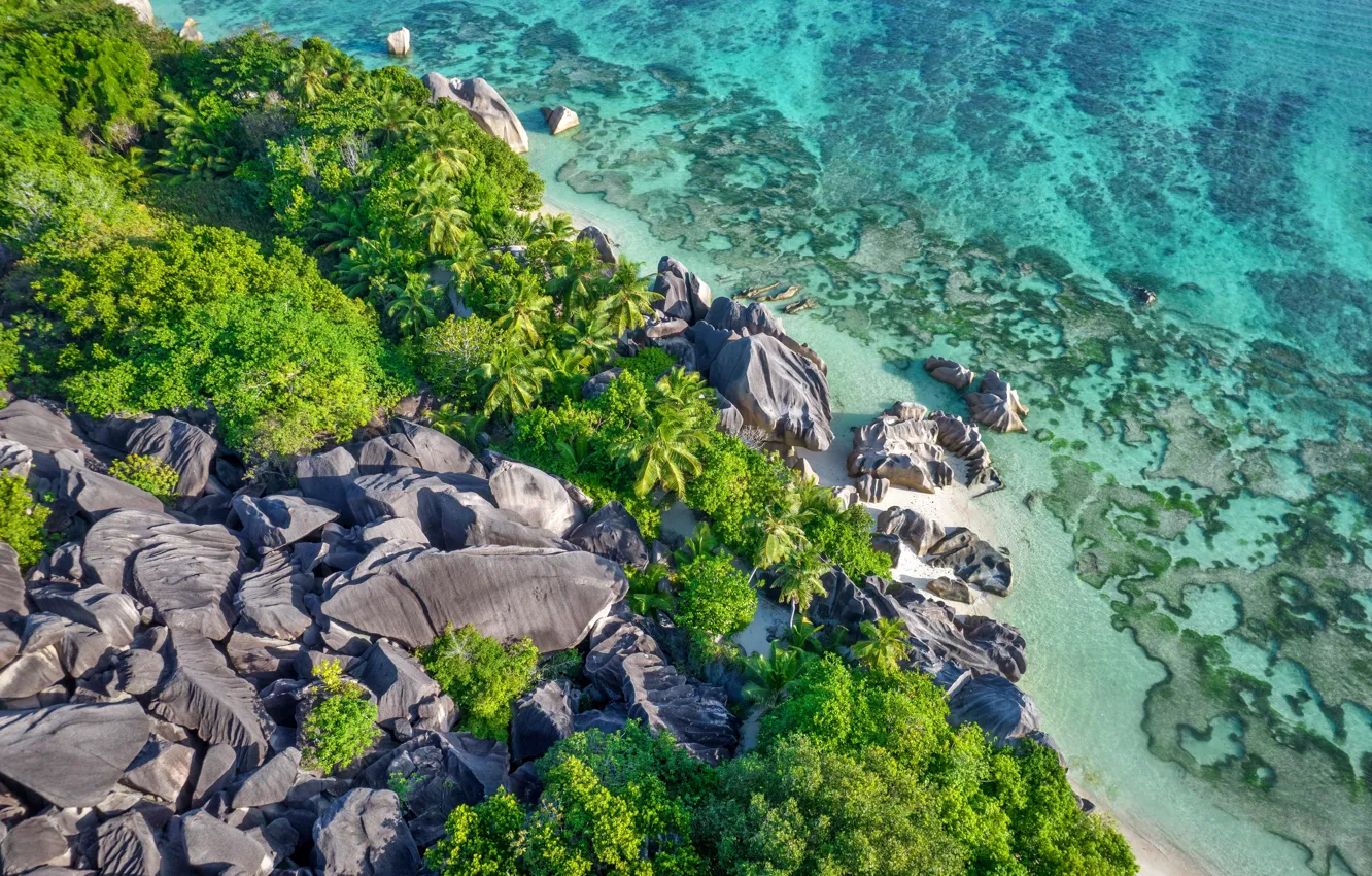 Photo wallpaper landscape, tropics, palm trees, rocks, Wallpaper, island, picture, picture