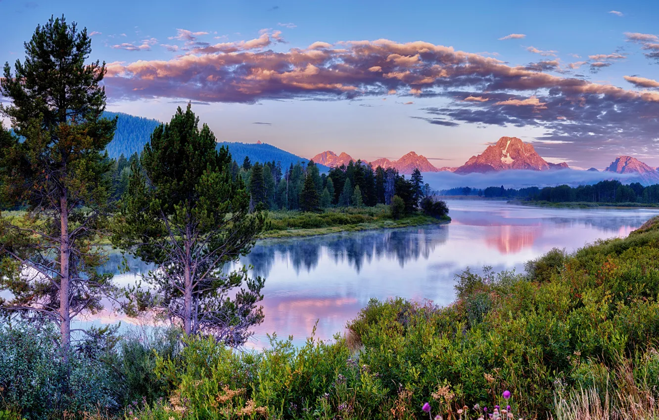 Photo wallpaper forest, the sky, grass, clouds, trees, mountains, fog, river