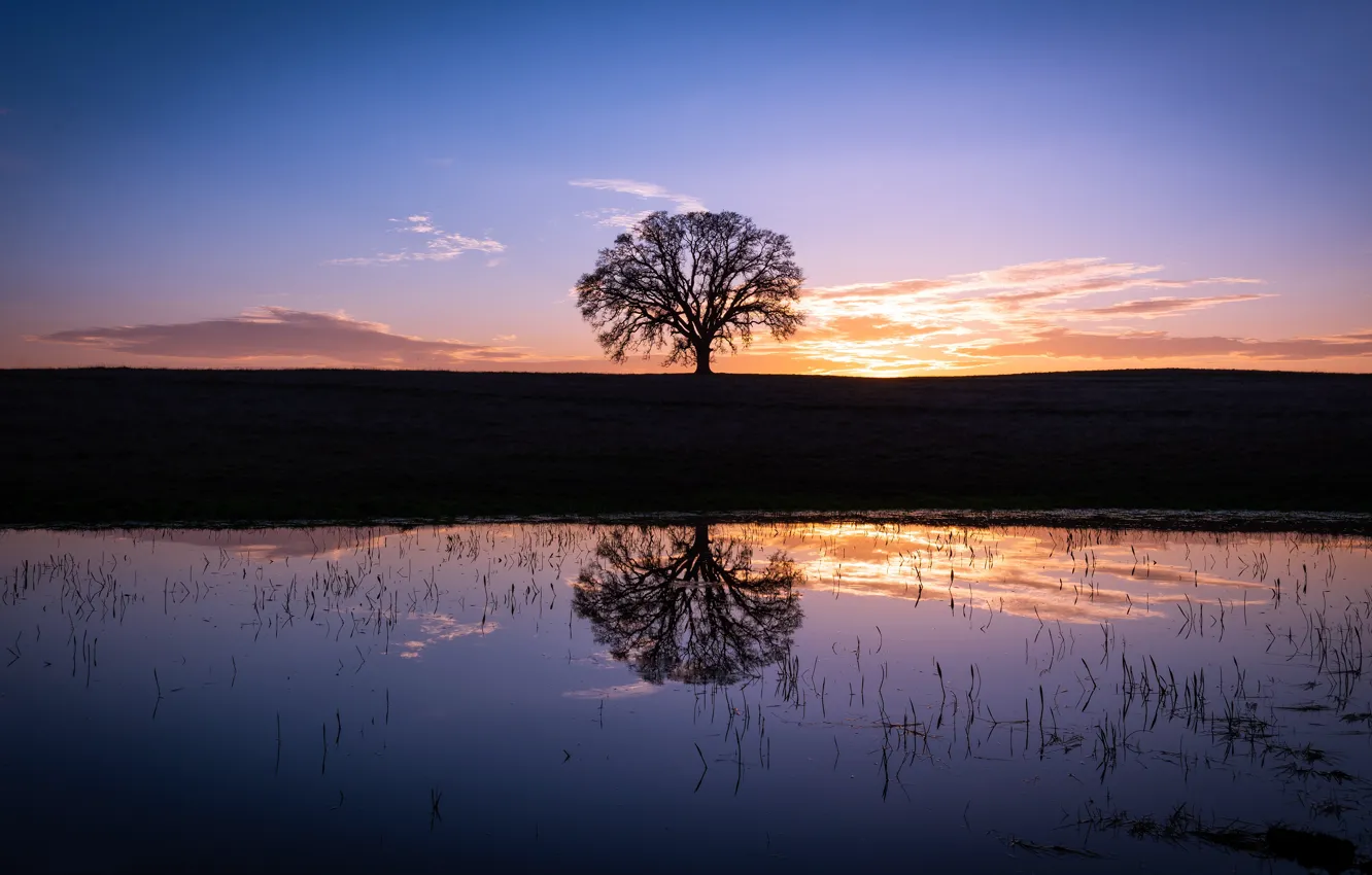 Photo wallpaper clouds, trees, sunset, lake, reflection, shore, the evening, twilight