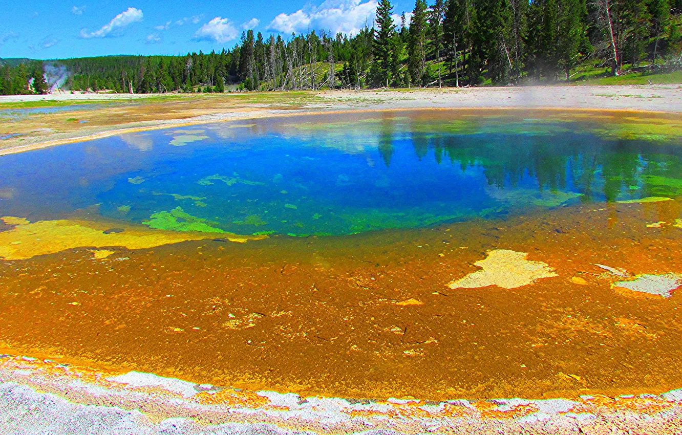 Photo wallpaper the sky, trees, lake, pair, USA, geyser, Yellowstone national Park