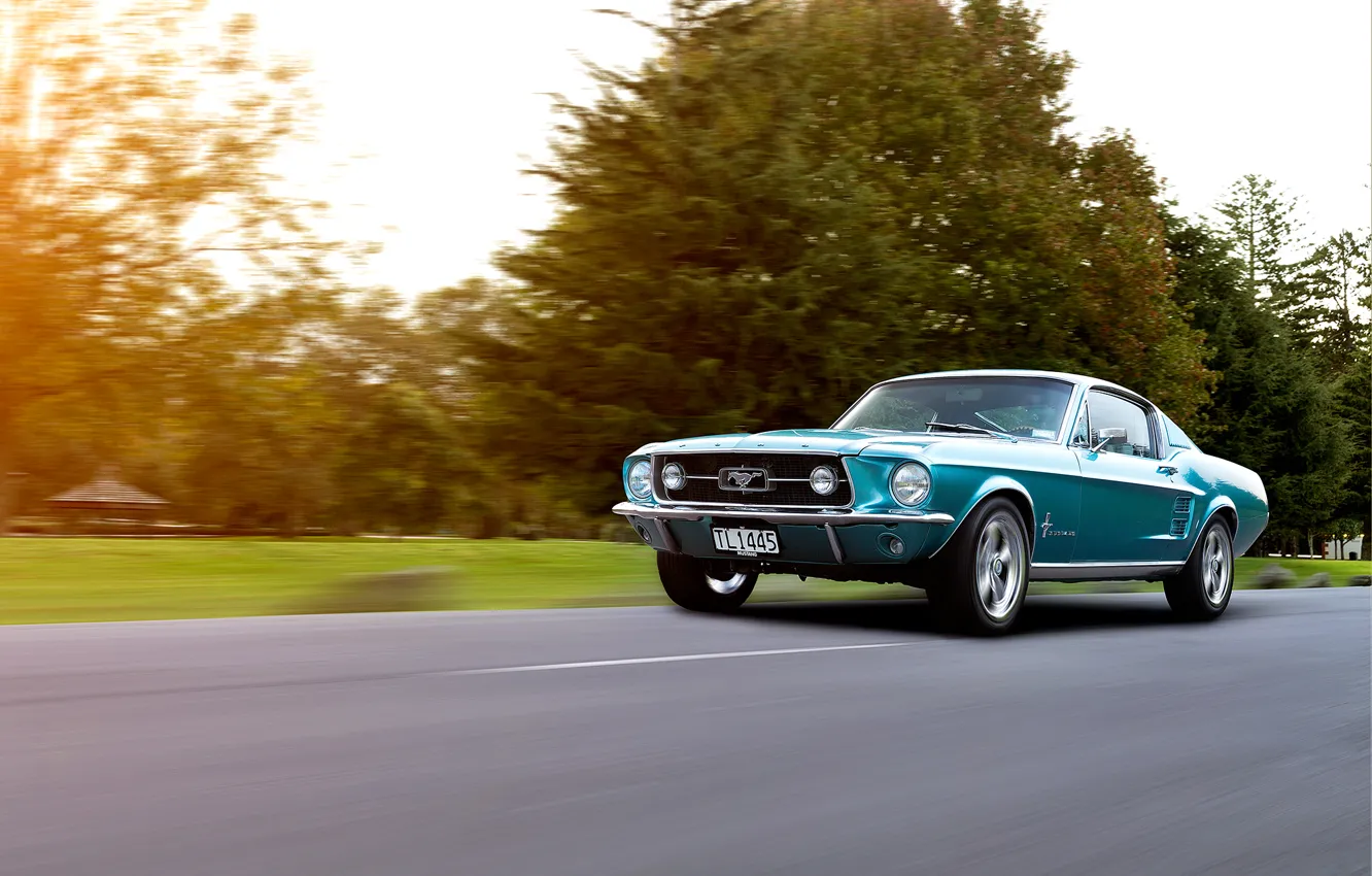 Photo wallpaper Mustang, Ford, Ford, 1967
