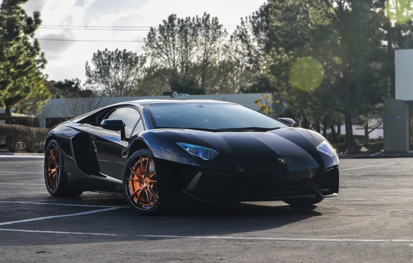 Photo wallpaper the sky, clouds, trees, black, shadow, lamborghini, black, front view