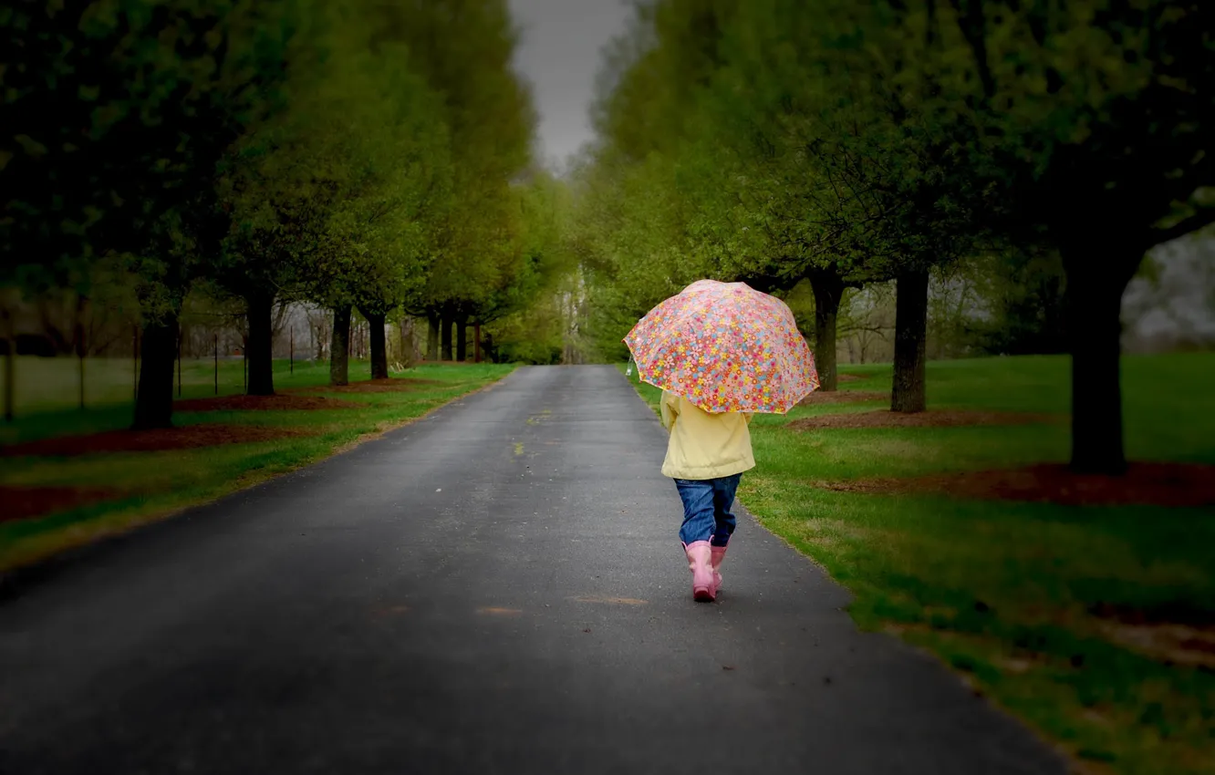 Photo wallpaper road, sadness, trees, nature, children, childhood, umbrella, child