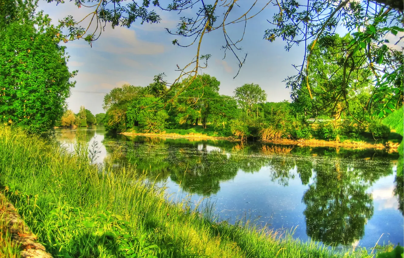 Photo wallpaper the sky, grass, clouds, trees, landscape, river, the bushes
