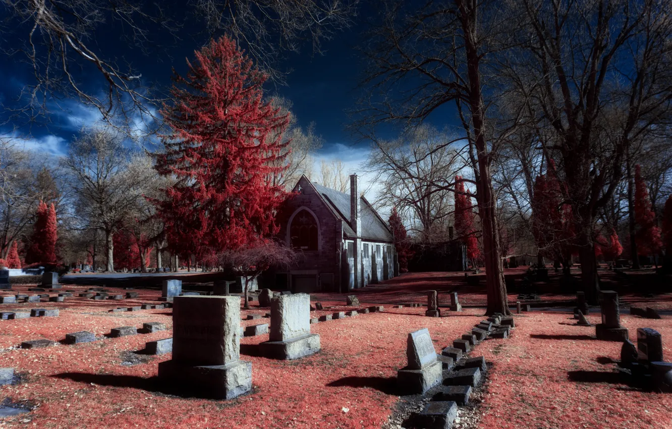 Photo wallpaper Michigan, Battle Creek, Oak Hill Cemetery