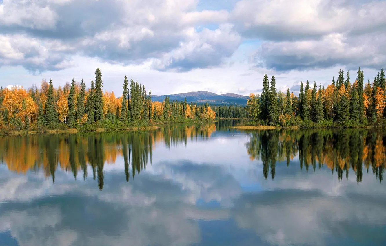 Photo wallpaper autumn, forest, trees, lake, reflection, Canada, Yukon, Dragon lake