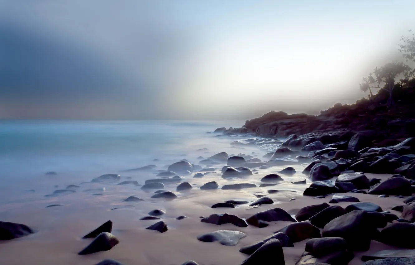 Photo wallpaper sea, water, light, trees, landscape, nature, surface, stones