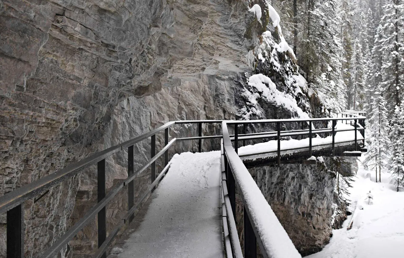 Photo wallpaper winter, snow, rocks, Canada, Albert, the bridge, Johnson Canyon