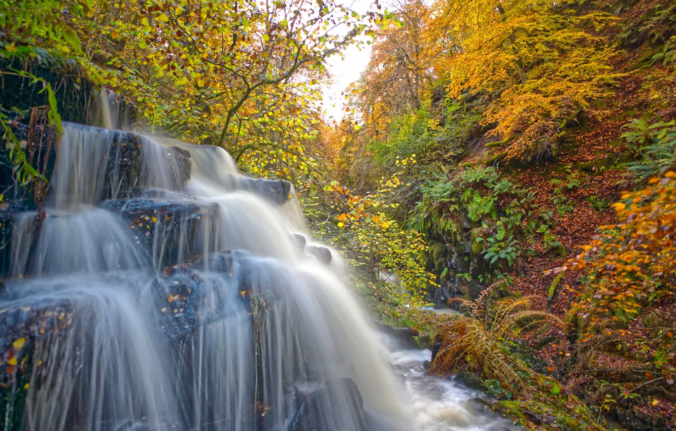Photo wallpaper autumn, forest, rocks, waterfall, stream