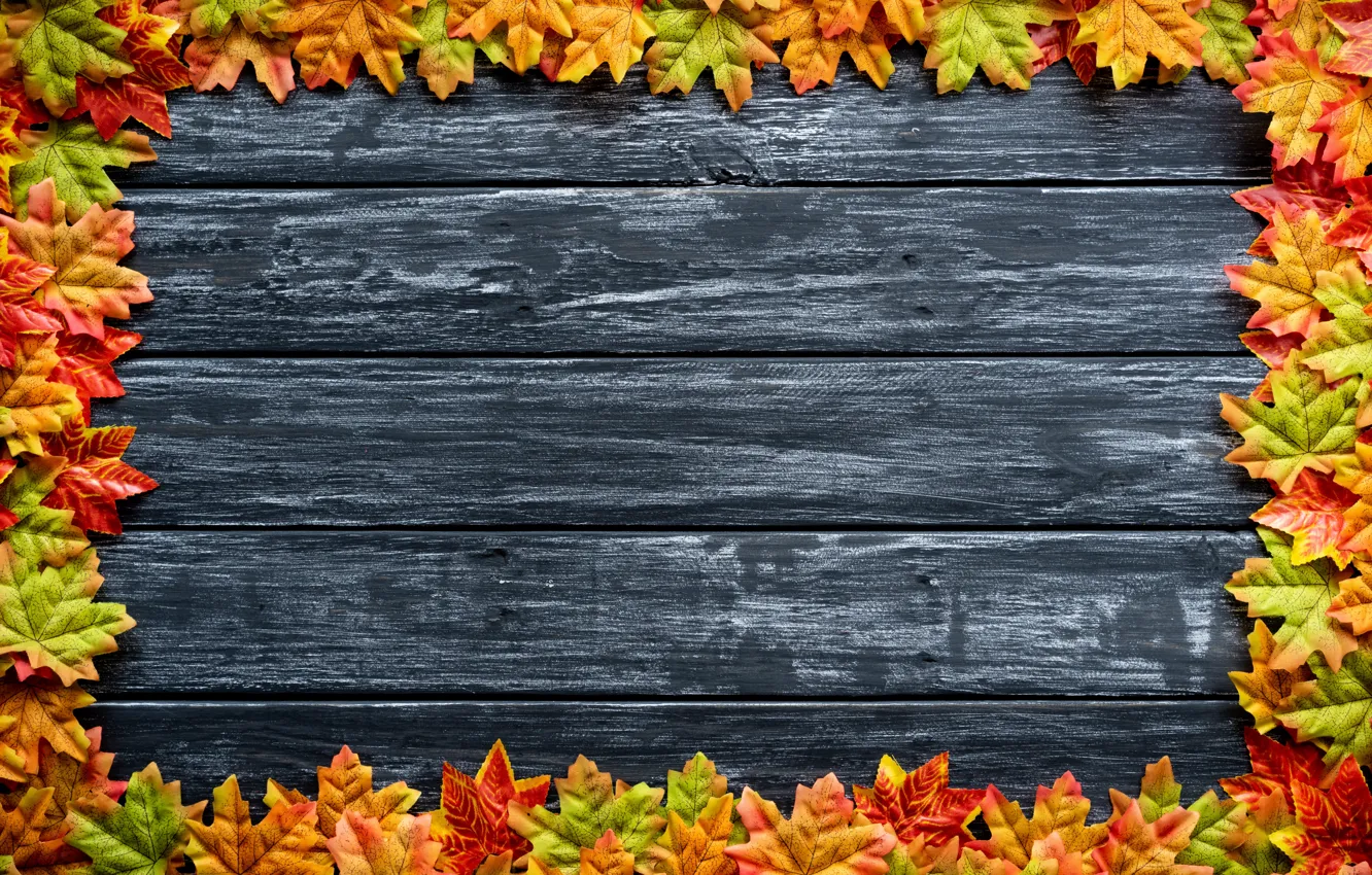 Photo wallpaper autumn, leaves, background, Board, colorful, maple, wood, background