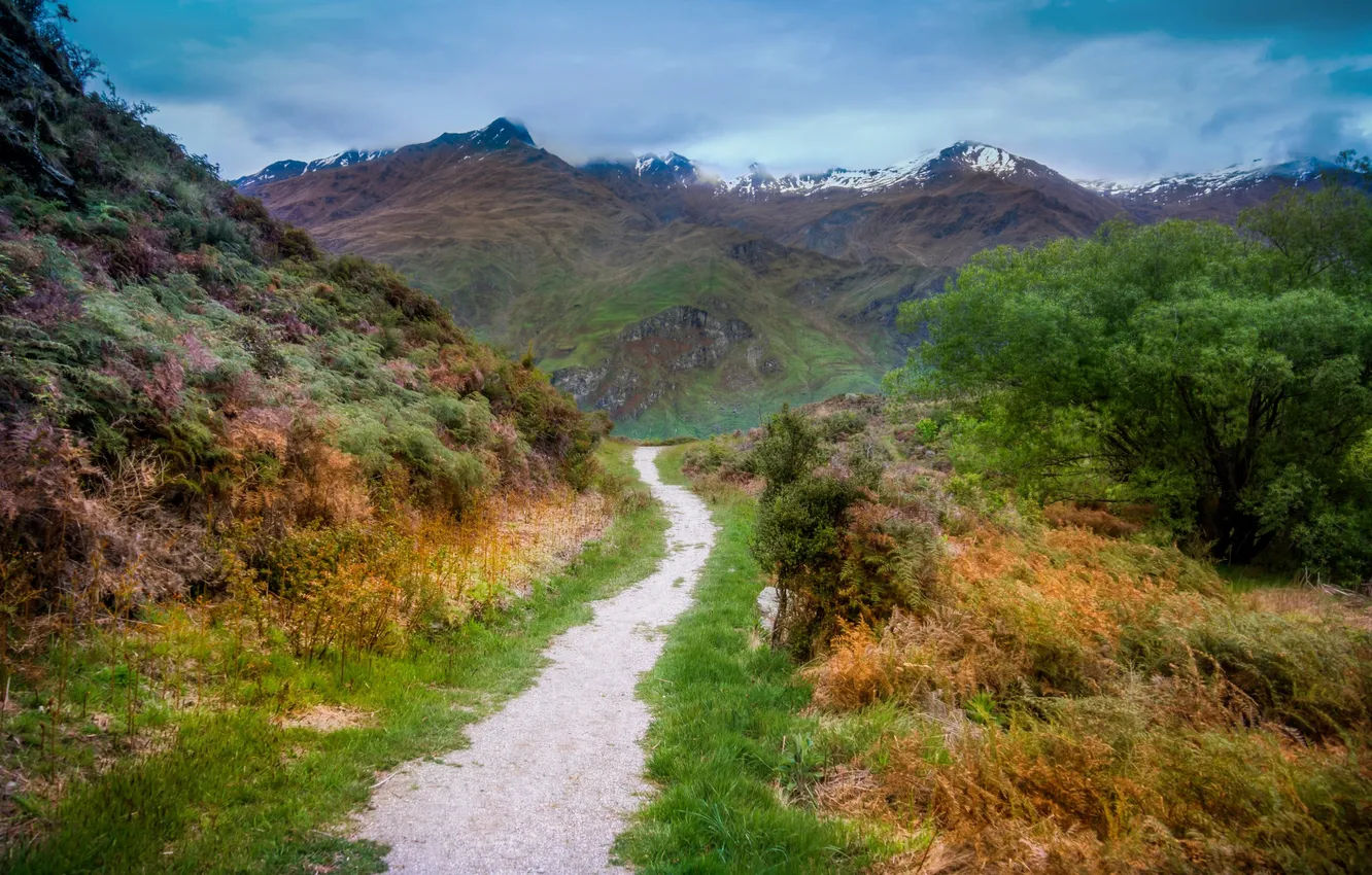 Photo wallpaper forest, the sky, clouds, trees, landscape, mountains, nature, rocks