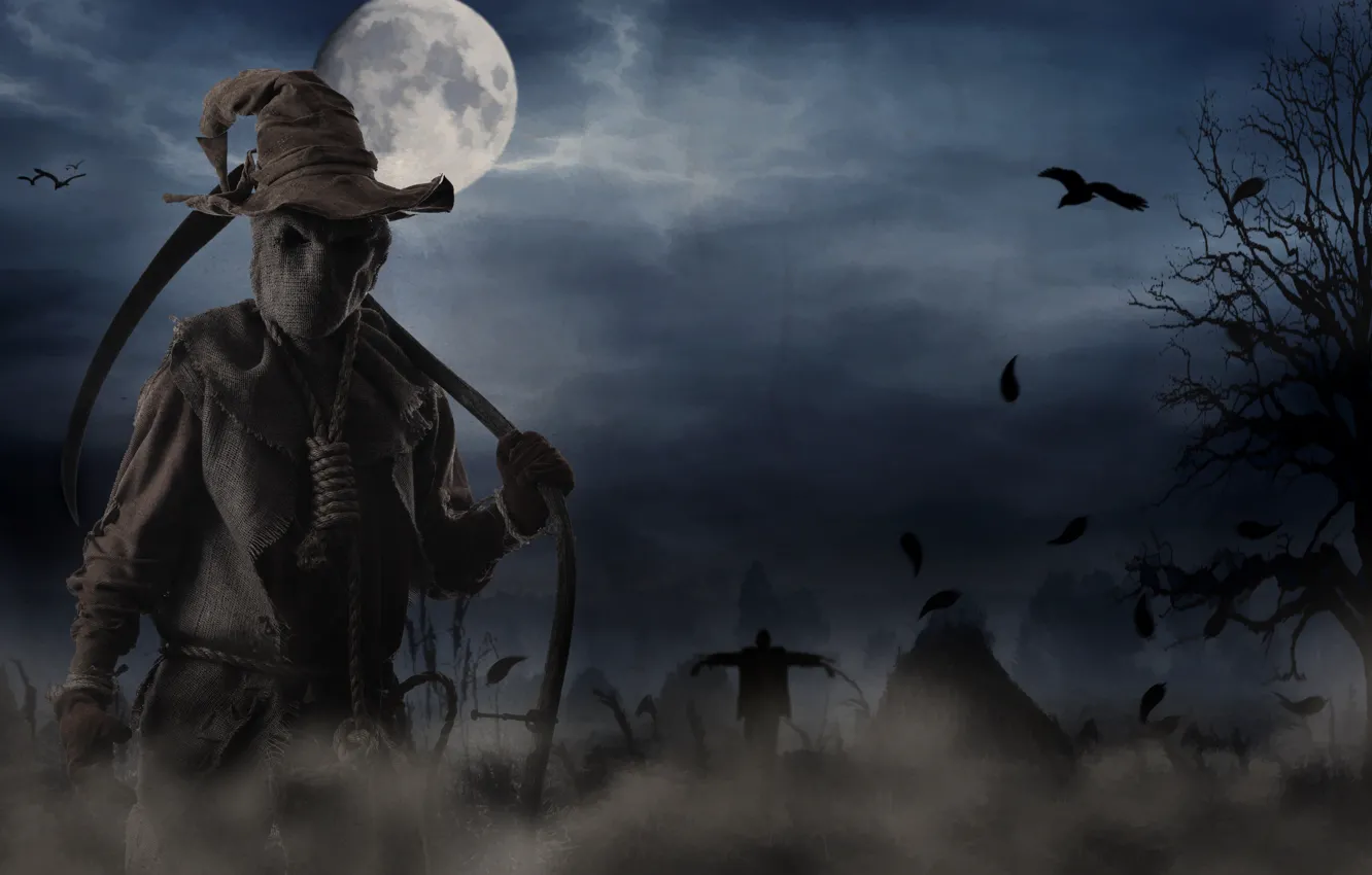 Photo wallpaper field, the moon, rope, crows, braid, the full moon, cap, Scarecrow
