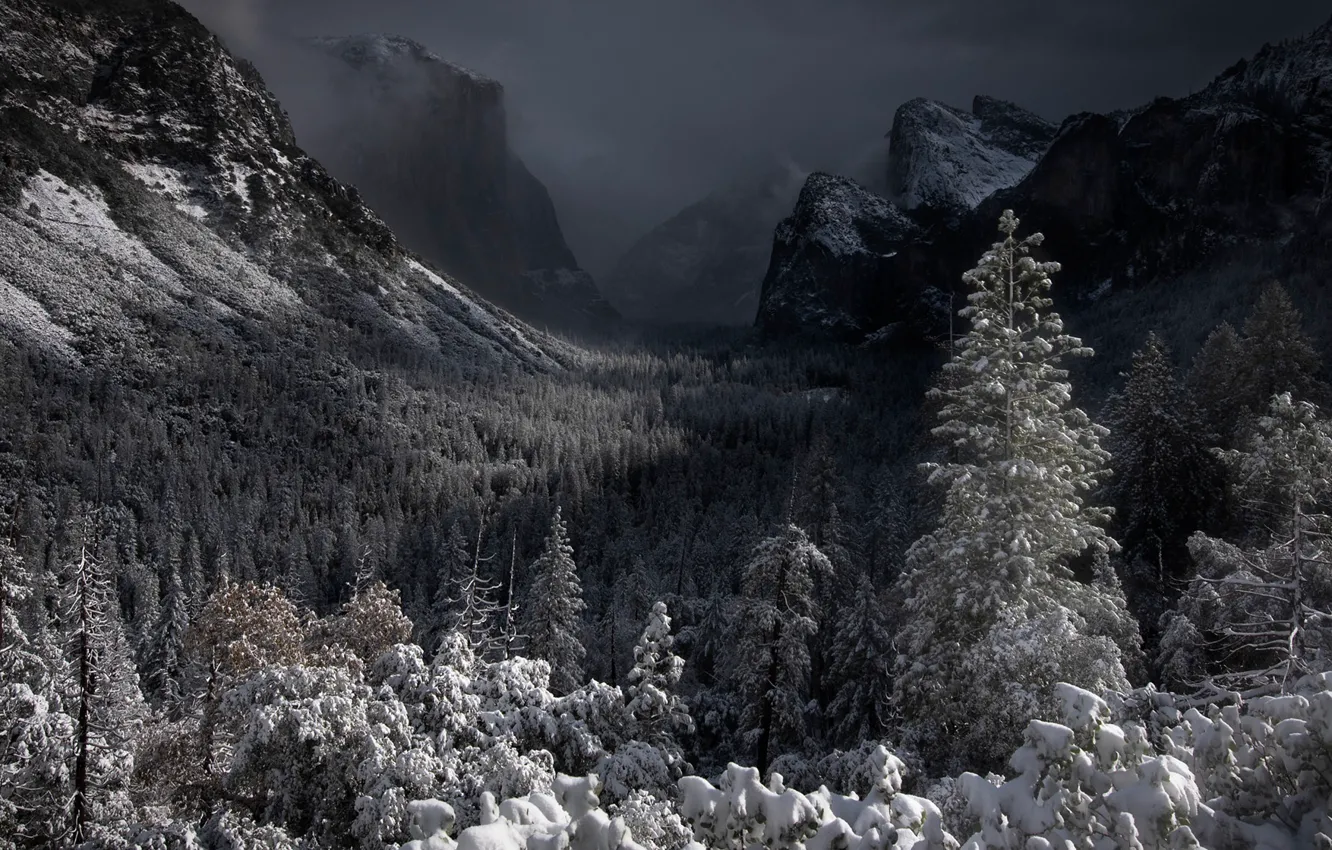 Photo wallpaper forest, snow, mountains, valley, CA, California, Yosemite Valley, Yosemite National Park