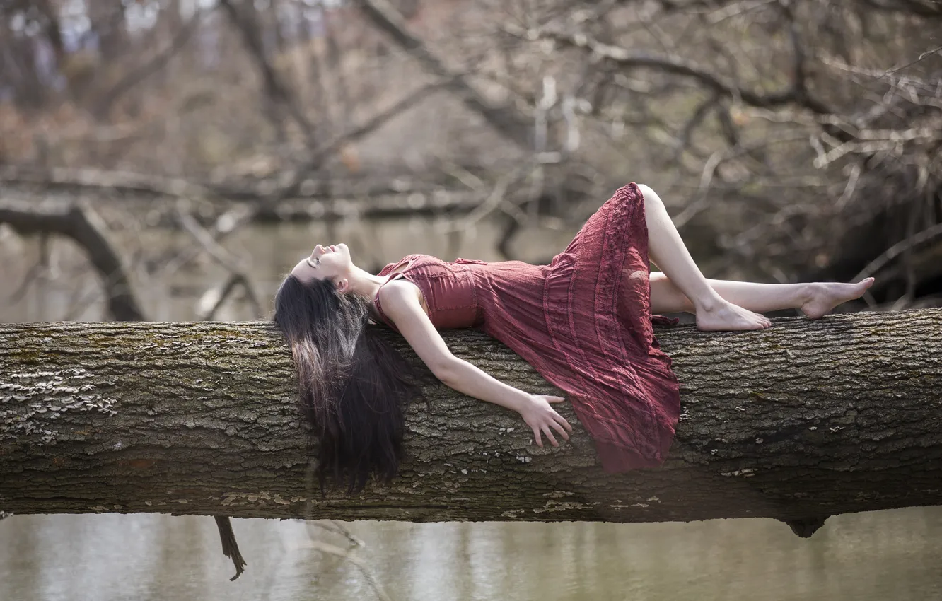 Photo wallpaper girl, trees, pose, dress, lies