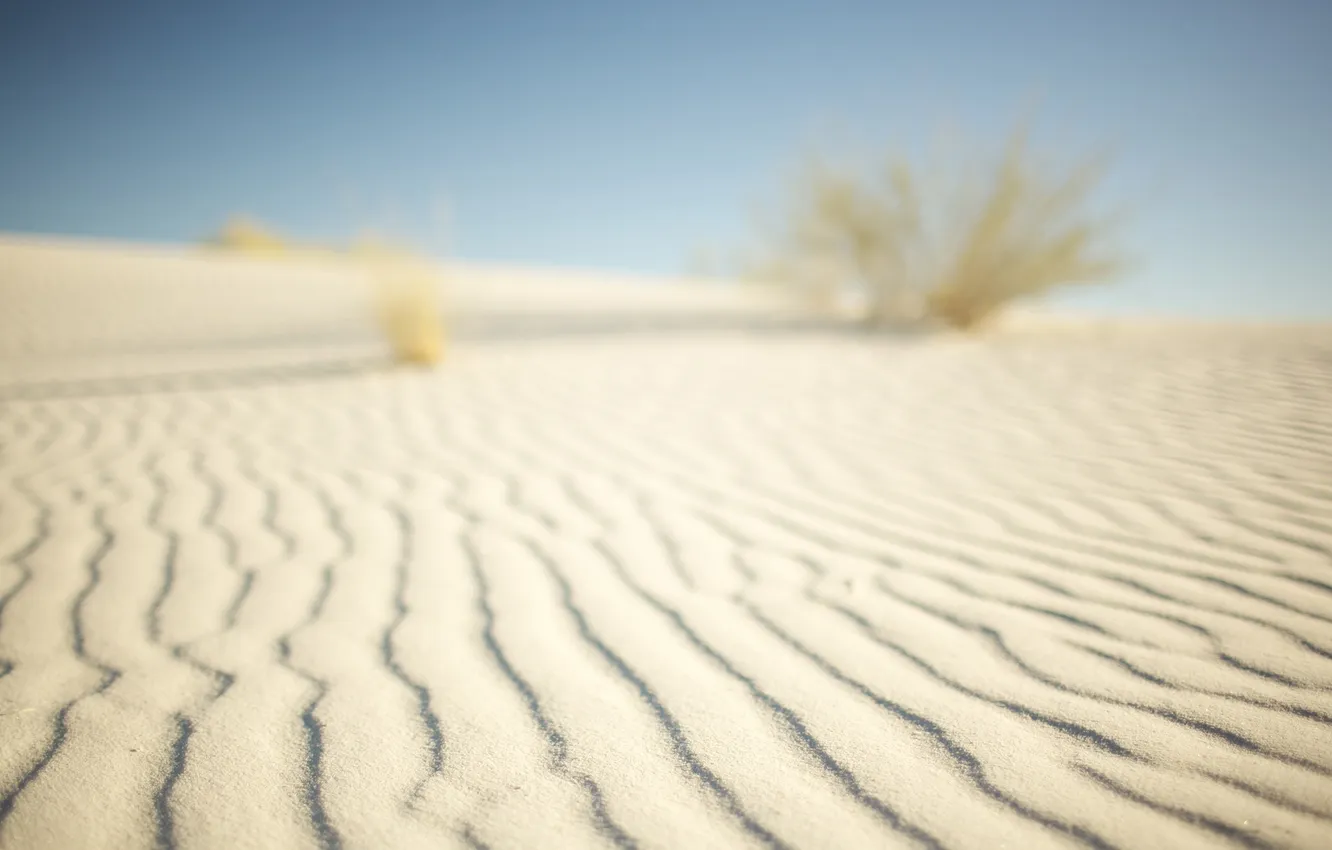 Photo wallpaper sand, macro, landscape, nature, photo, desert, desert, Wallpaper for desktop